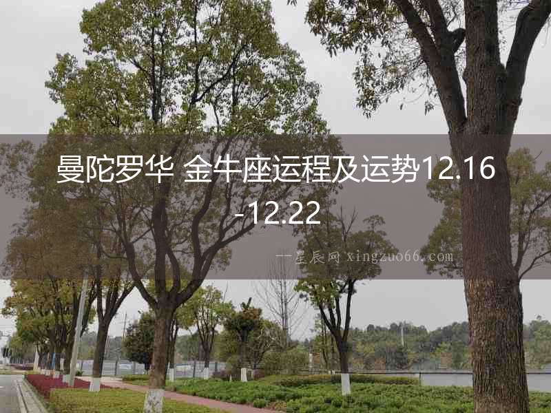 曼陀羅華 金牛座運程及運勢12.16-12.22
