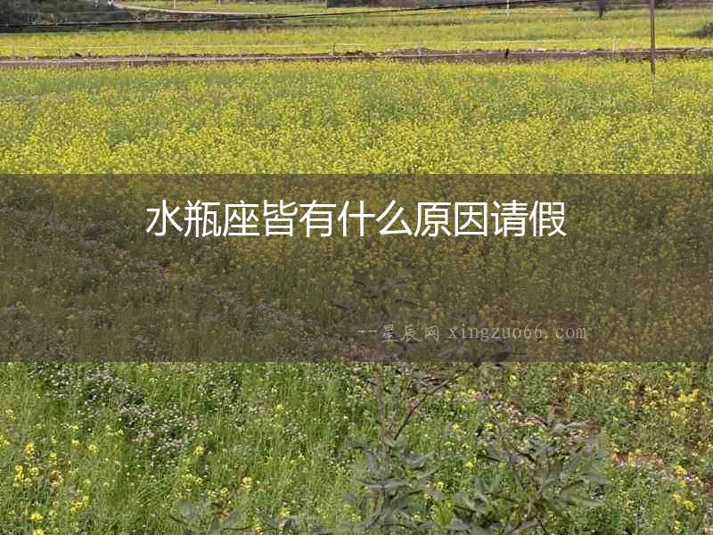 水瓶座皆有什么原因請假