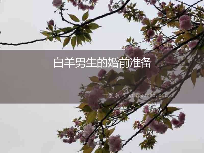 白羊男生的婚前準(zhǔn)備