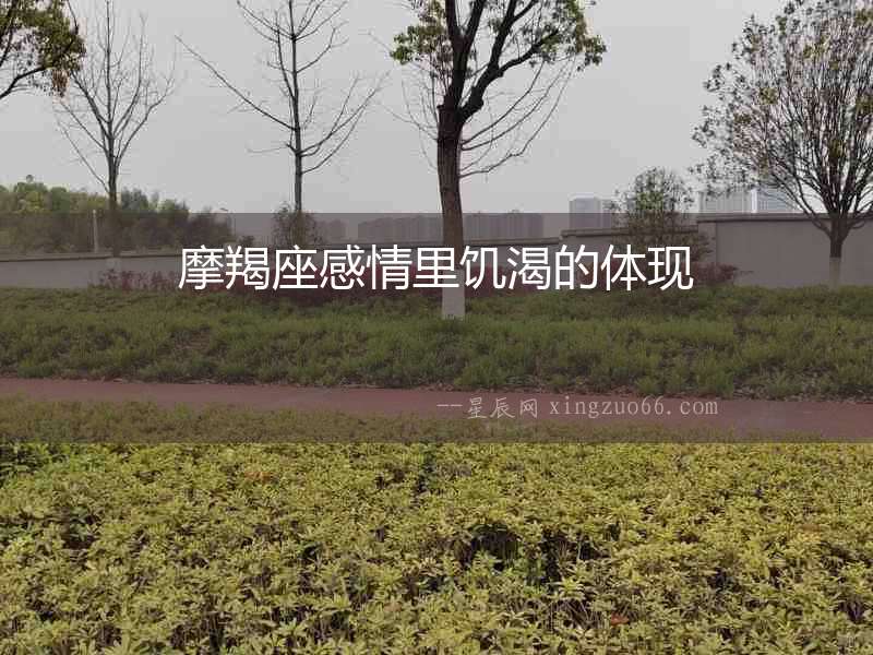 摩羯座感情里饑渴的體現(xiàn)