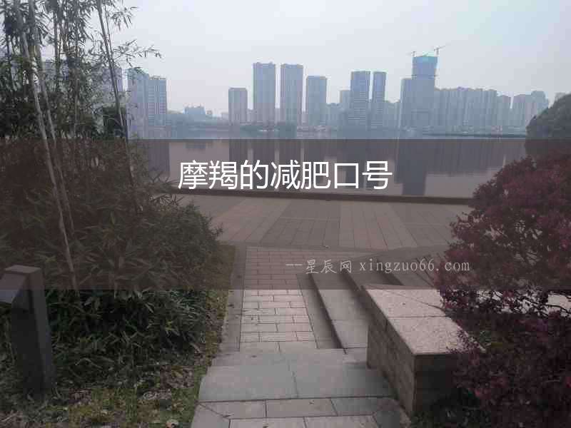 摩羯的減肥口號