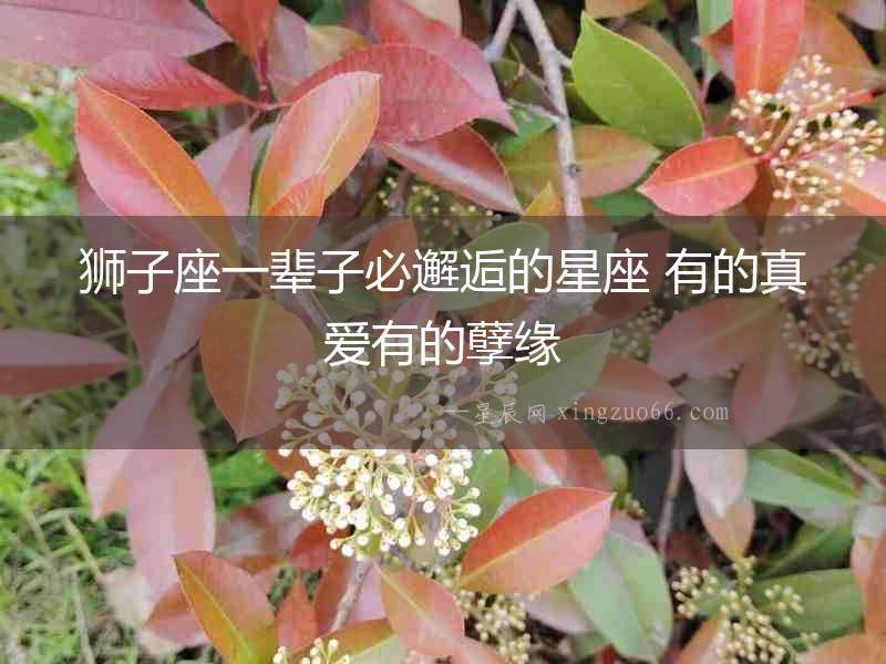 獅子座一輩子必邂逅的星座 有的真愛有的孽緣