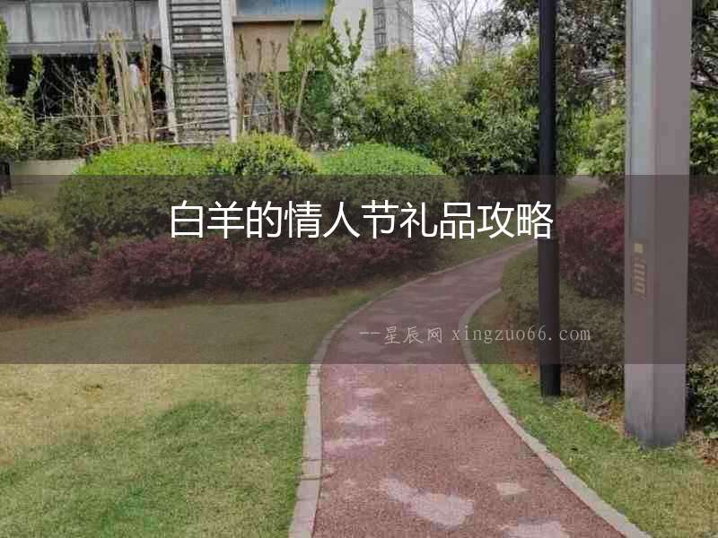 白羊的情人節(jié)禮品攻略
