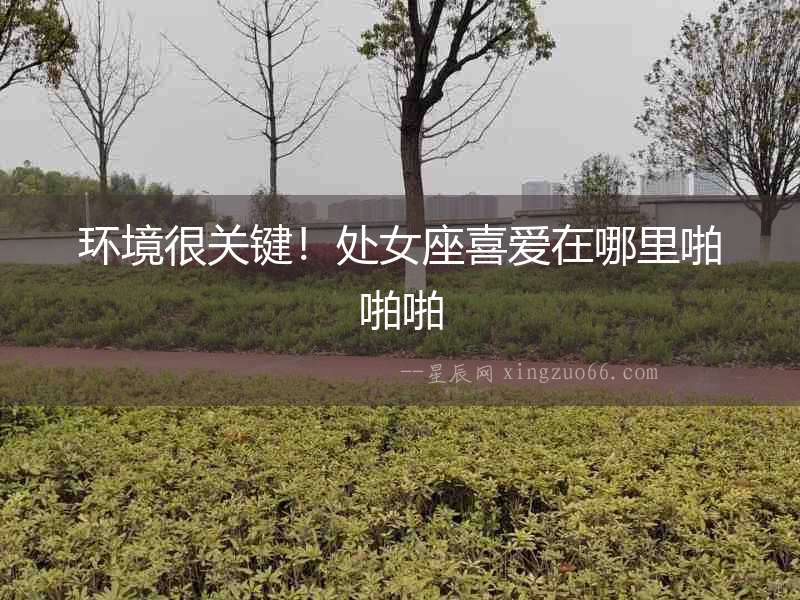 環(huán)境很關(guān)鍵！處女座喜愛在哪里啪啪啪