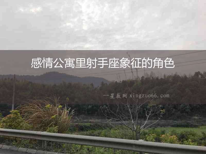 感情公寓里射手座象征的角色