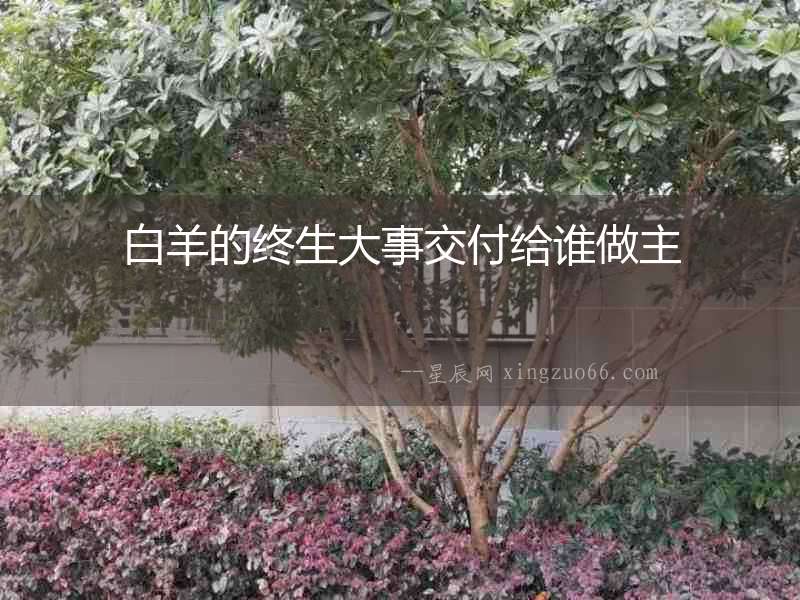 白羊的終生大事交付給誰做主