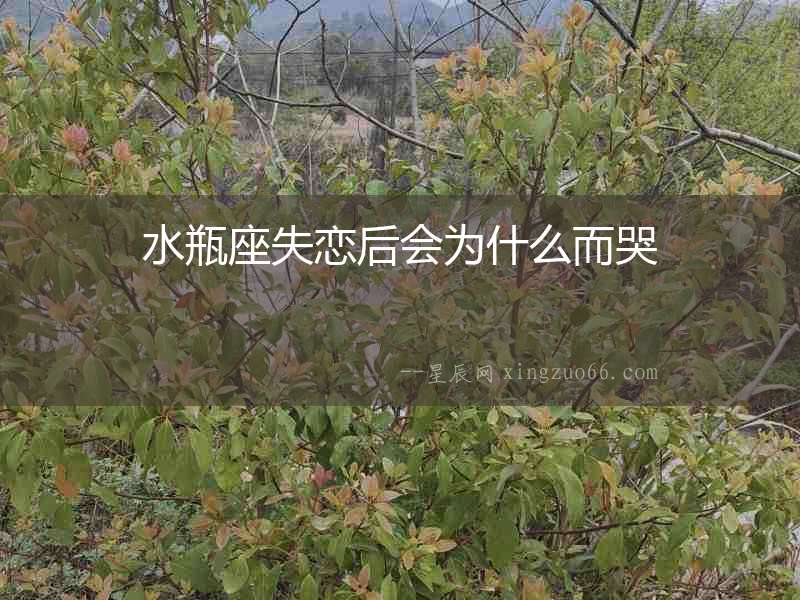 水瓶座失戀后會為什么而哭