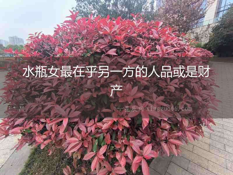 水瓶女最在乎另一方的人品或是財(cái)產(chǎn)