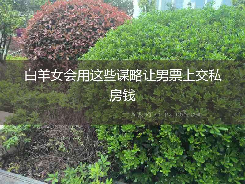 白羊女會用這些謀略讓男票上交私房錢
