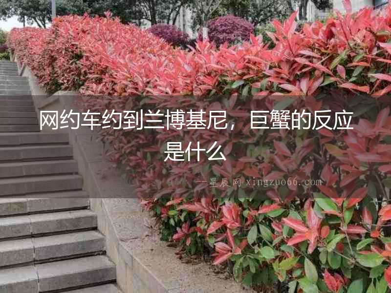 網(wǎng)約車約到蘭博基尼，巨蟹的反應(yīng)是什么