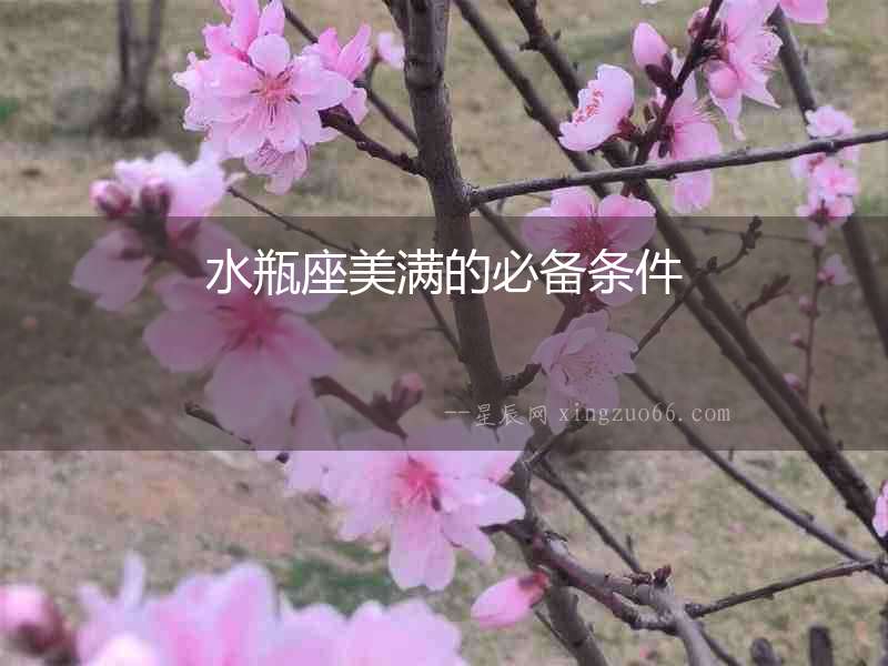 水瓶座美滿的必備條件