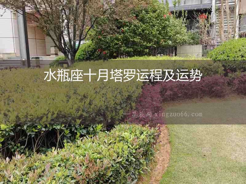 水瓶座十月塔羅運(yùn)程及運(yùn)勢