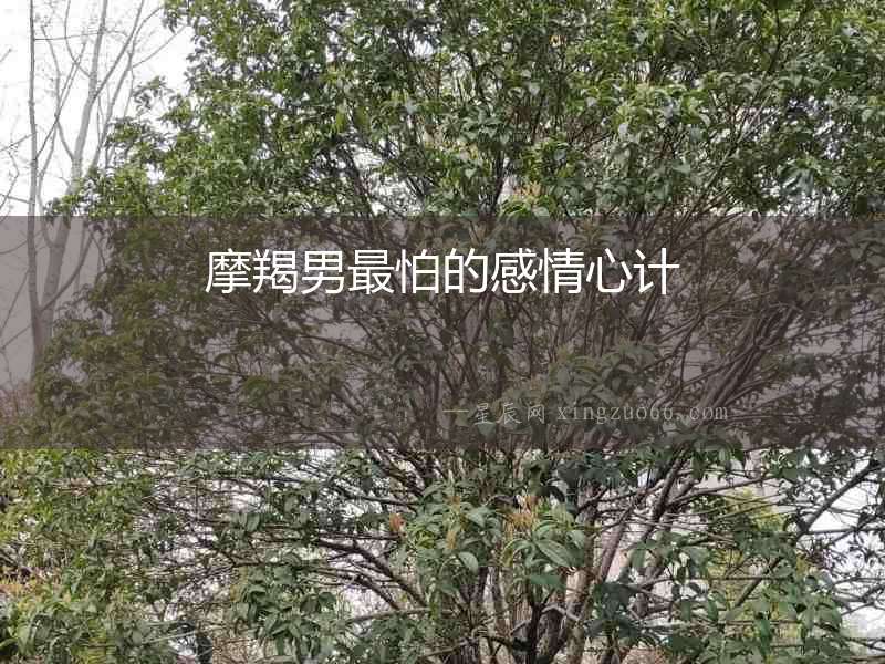 摩羯男最怕的感情心計