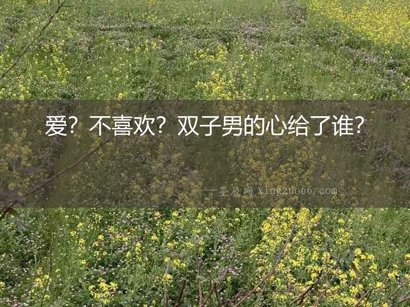 愛(ài)？不喜歡？雙子男的心給了誰(shuí)？