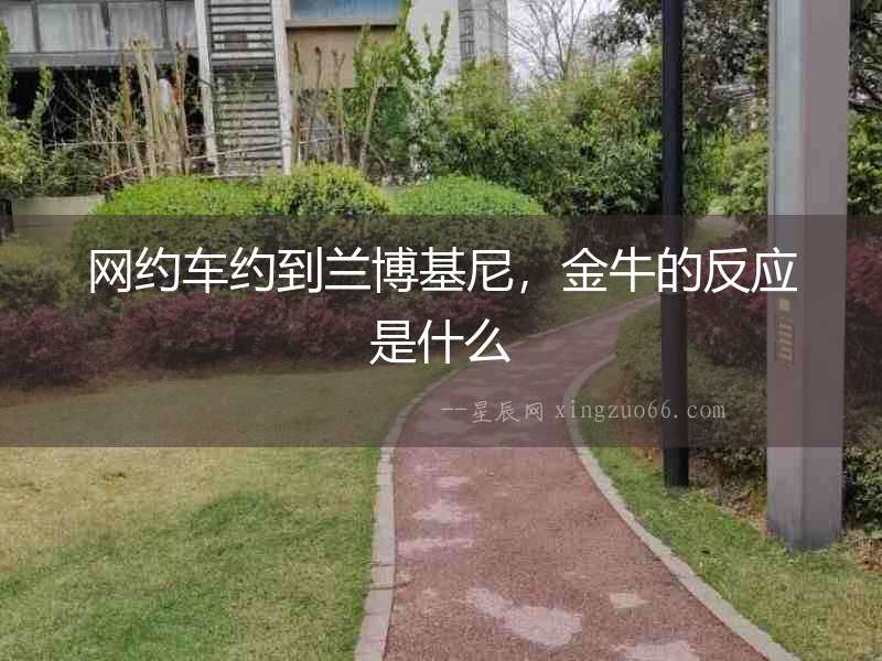 網約車約到蘭博基尼，金牛的反應是什么