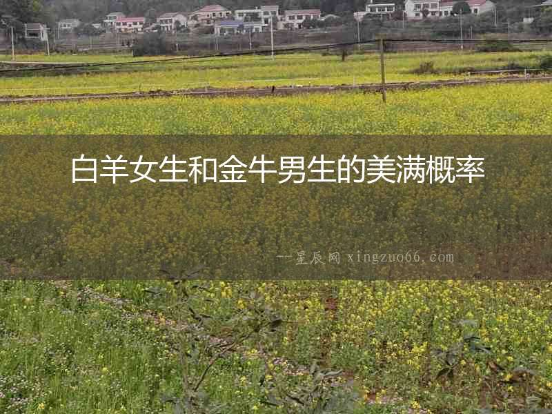 白羊女生和金牛男生的美滿概率