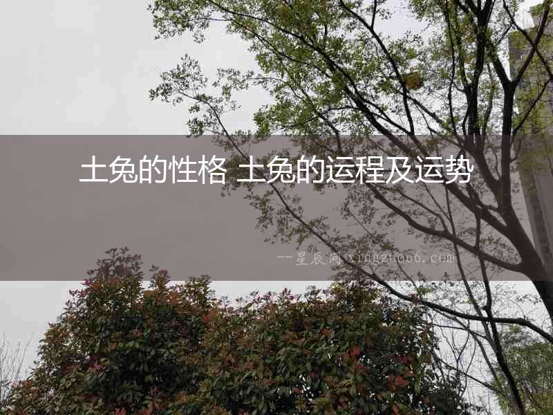 土兔的性格 土兔的運程及運勢