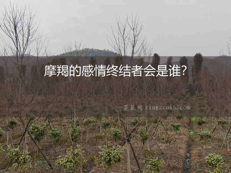 摩羯的感情終結(jié)者會(huì)是誰(shuí)？