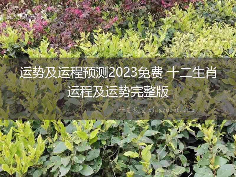 運勢及運程預測2023免費 十二生肖運程及運勢完整版