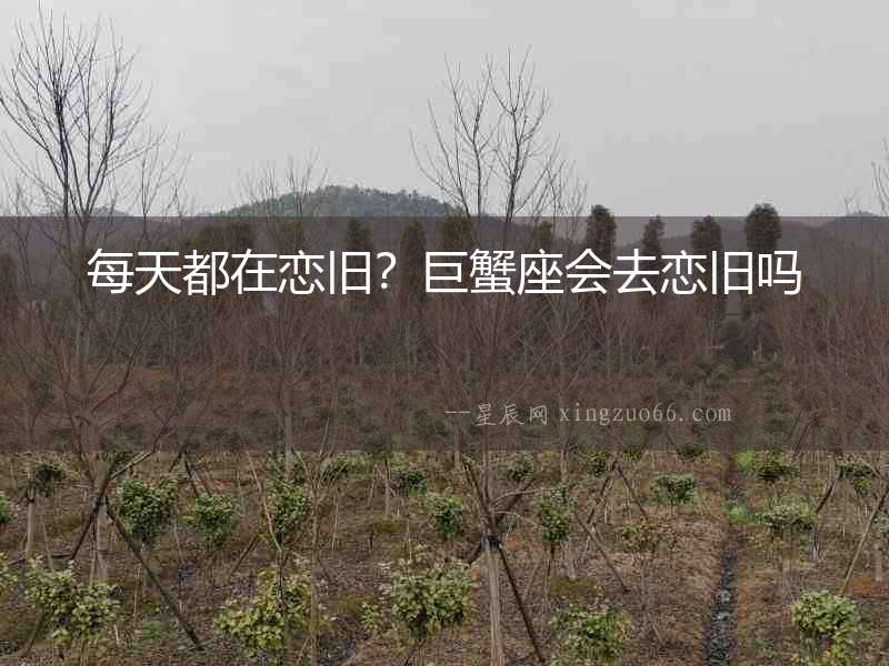 每天都在戀舊？巨蟹座會去戀舊嗎