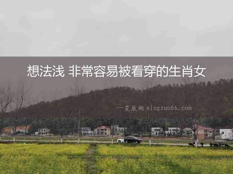 想法淺 非常容易被看穿的生肖女