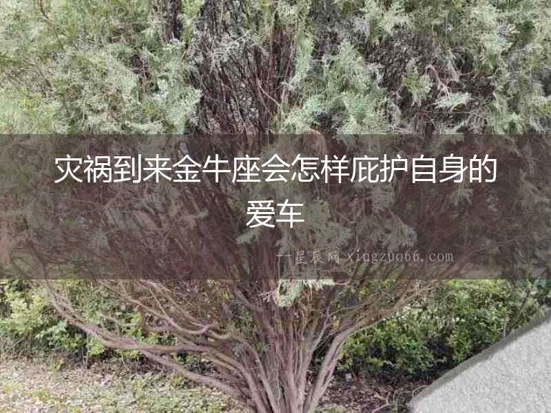 災禍到來金牛座會怎樣庇護自身的愛車