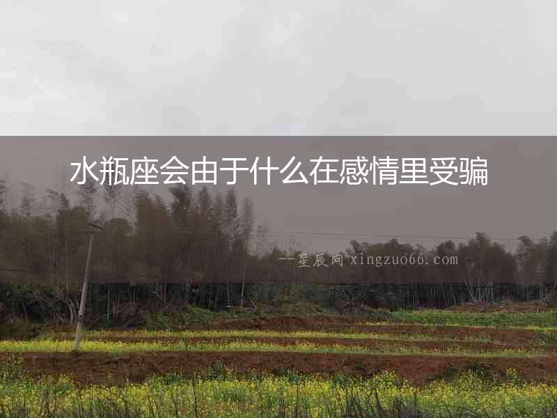 水瓶座會由于什么在感情里受騙