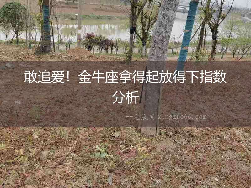 敢追愛！金牛座拿得起放得下指數(shù)分析