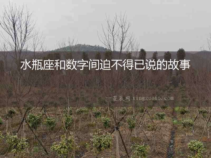 水瓶座和數字間迫不得已說的故事