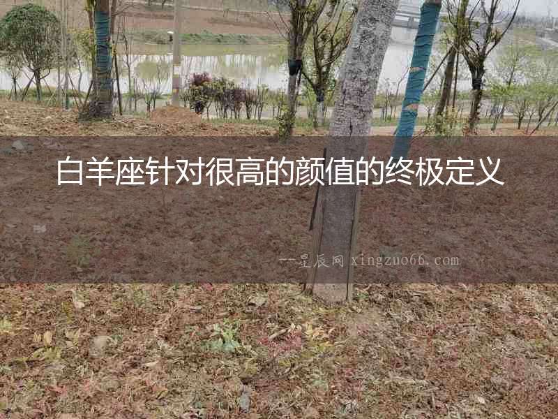 白羊座針對很高的顏值的終極定義
