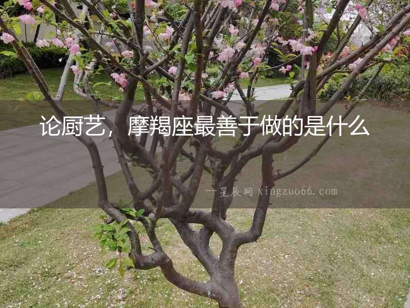 論廚藝，摩羯座最善于做的是什么
