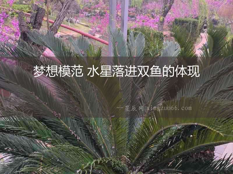 夢想模范 水星落進雙魚的體現