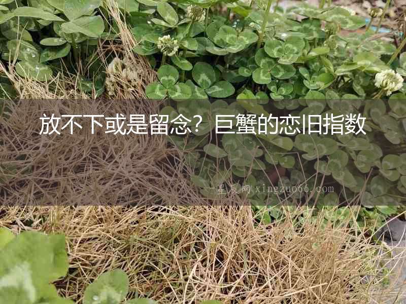 放不下或是留念？巨蟹的戀舊指數