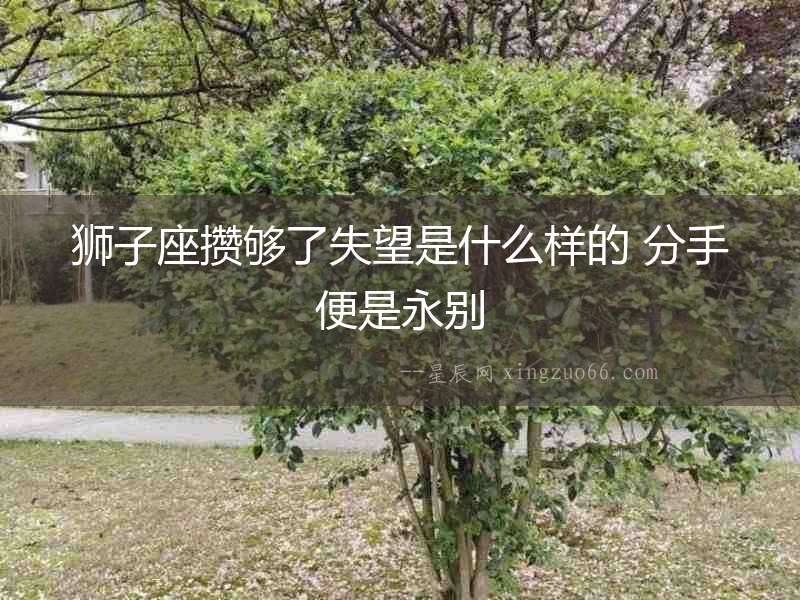 獅子座攢夠了失望是什么樣的 分手便是永別