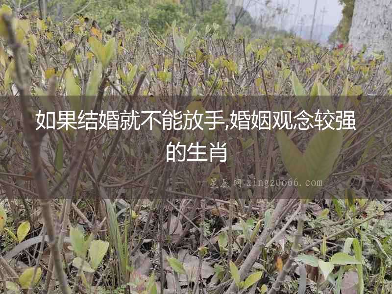 如果結婚就不能放手,婚姻觀念較強的生肖