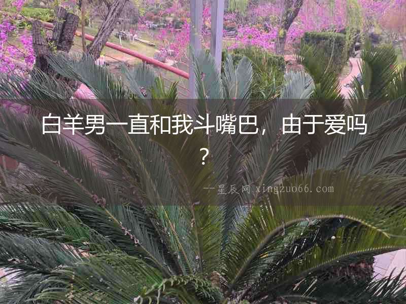 白羊男一直和我斗嘴巴，由于愛(ài)嗎？