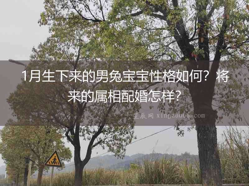 1月生下來的男兔寶寶性格如何？將來的屬相配婚怎樣？
