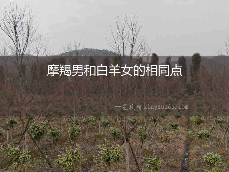 摩羯男和白羊女的相同點