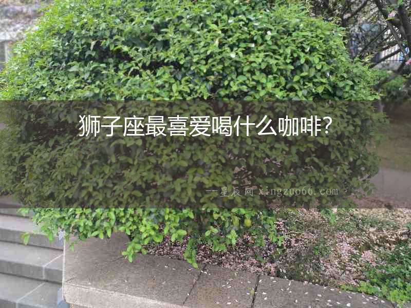 獅子座最喜愛喝什么咖啡？