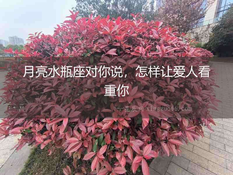 月亮水瓶座對你說，怎樣讓愛人看重你