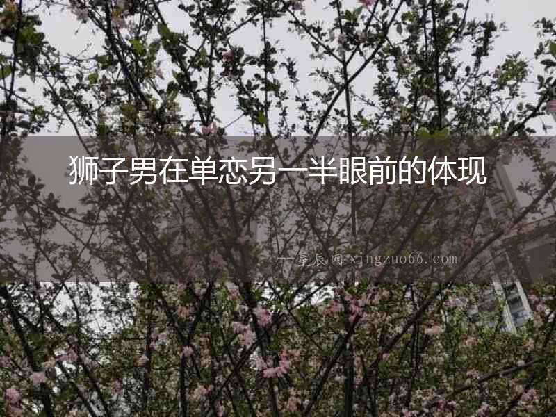 獅子男在單戀另一半眼前的體現(xiàn)