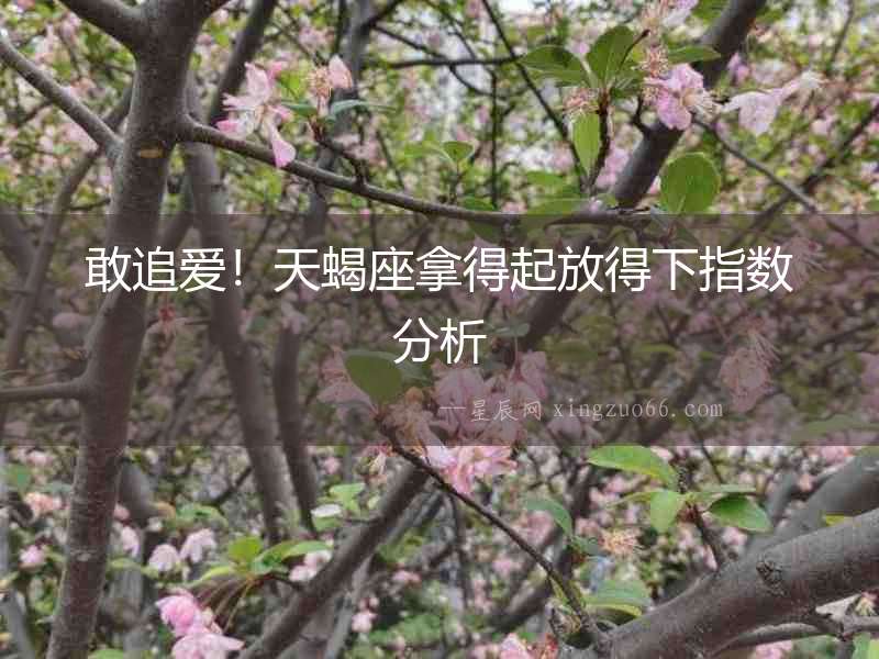 敢追愛！天蝎座拿得起放得下指數分析