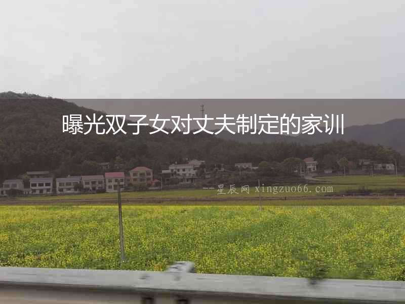 曝光雙子女對丈夫制定的家訓
