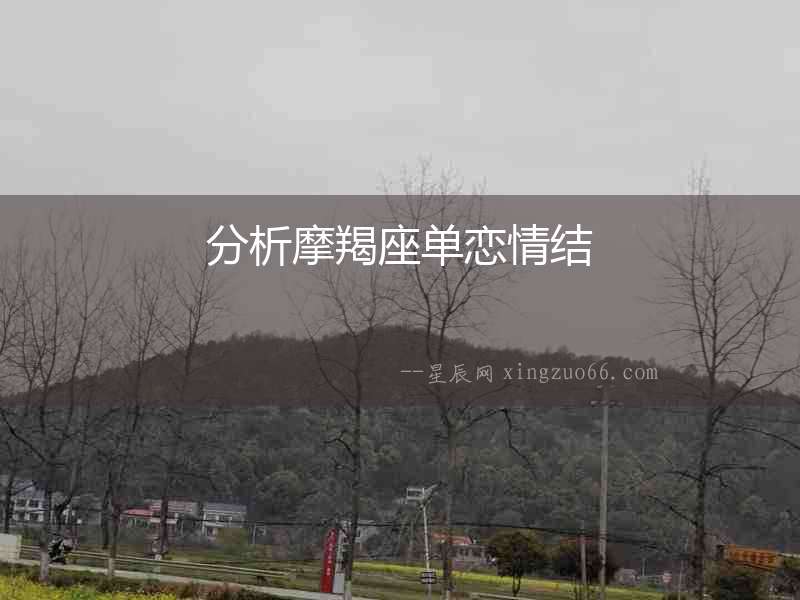分析摩羯座單戀情結(jié)
