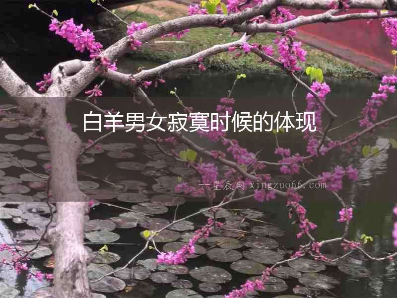 白羊男女寂寞時候的體現