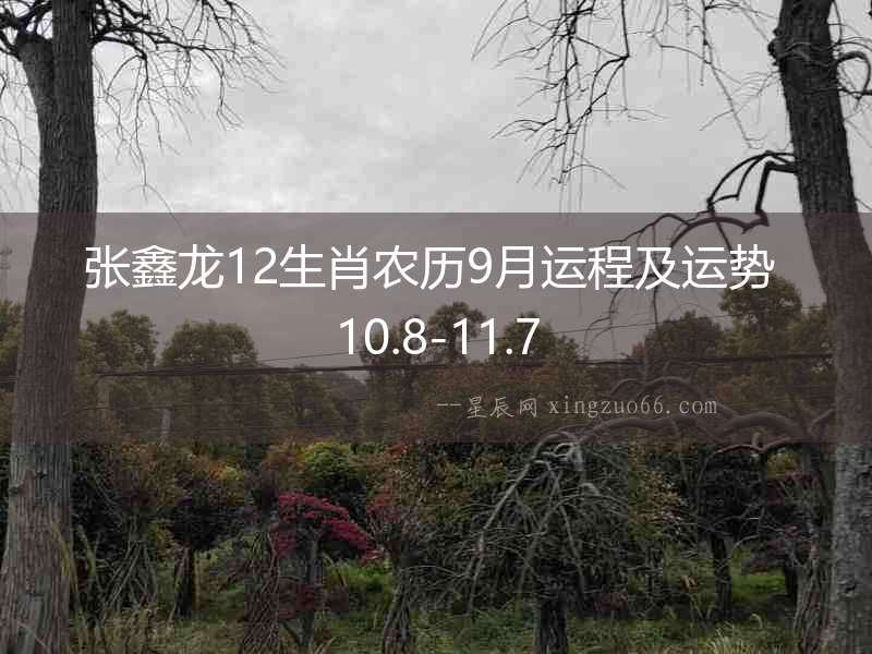 張鑫龍12生肖農歷9月運程及運勢 10.8-11.7