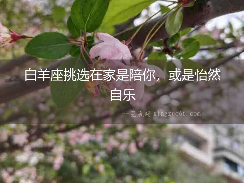 白羊座挑選在家是陪你，或是怡然自樂(lè)