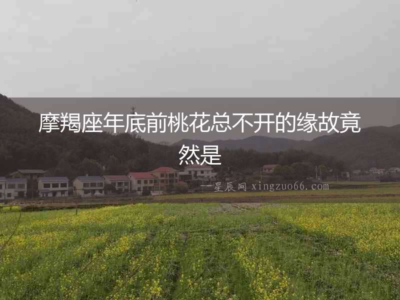 摩羯座年底前桃花總不開(kāi)的緣故竟然是