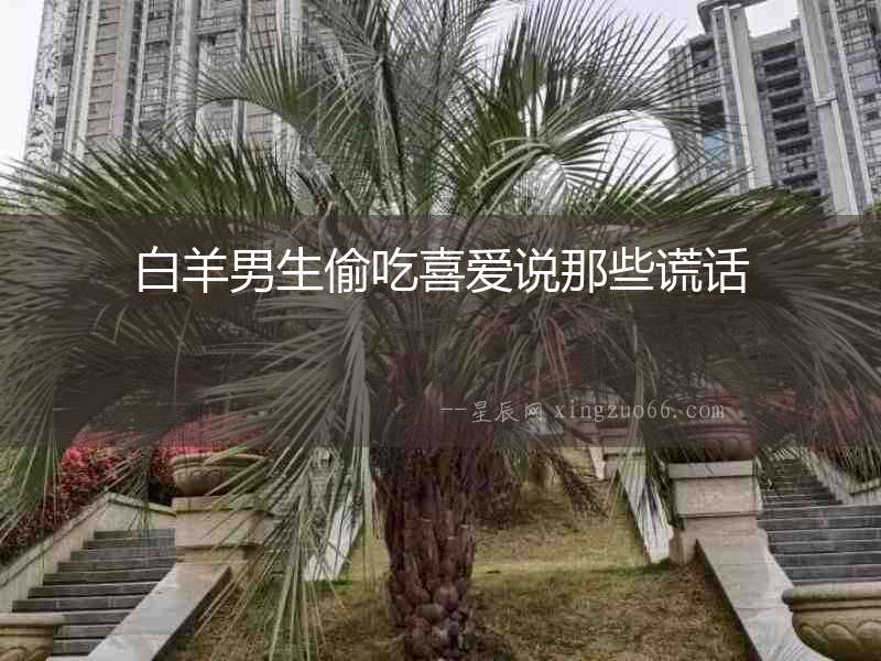白羊男生偷吃喜愛說那些謊話