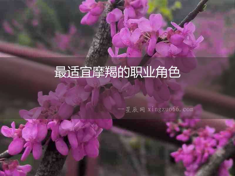 最適宜摩羯的職業(yè)角色